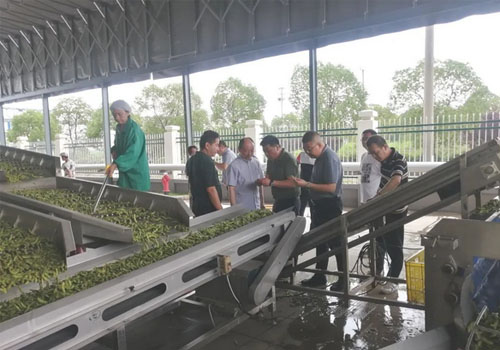 Going to the Grassroots, Strengthening Services, and Promoting Development - Industrial Companies Conduct Key Work Research in Taitai Xingye (Changshu) Food Co., Ltd