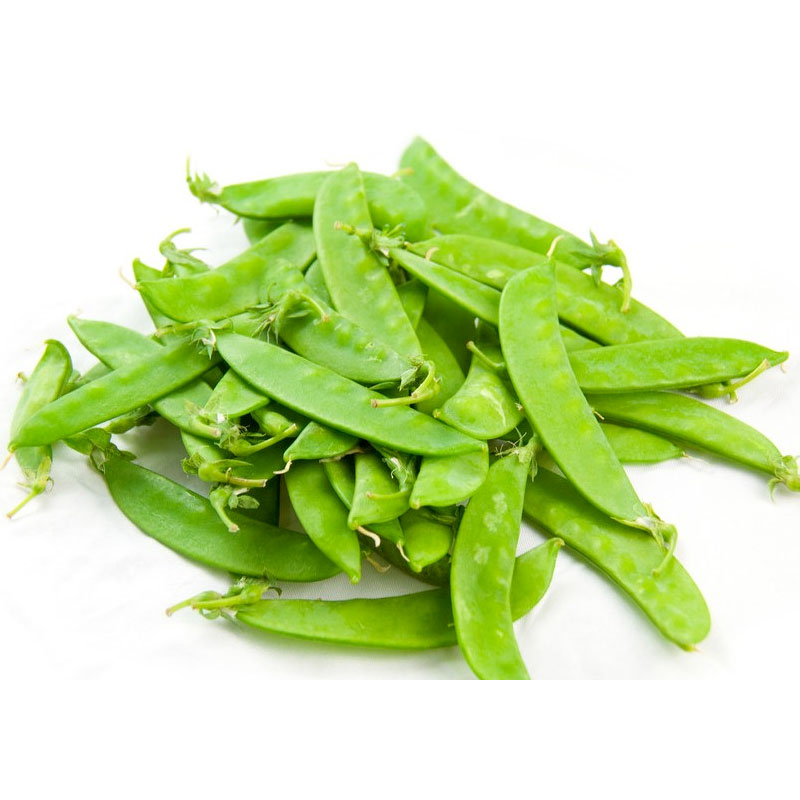 Snow Pea 