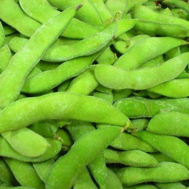 Soybean 